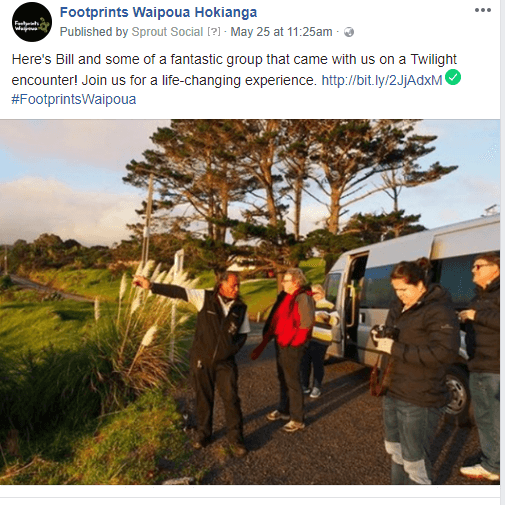 Footprints Waipoua Tour Experience
