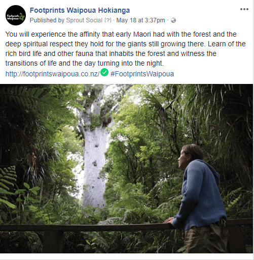 Footprints Waipoua Social Media Content